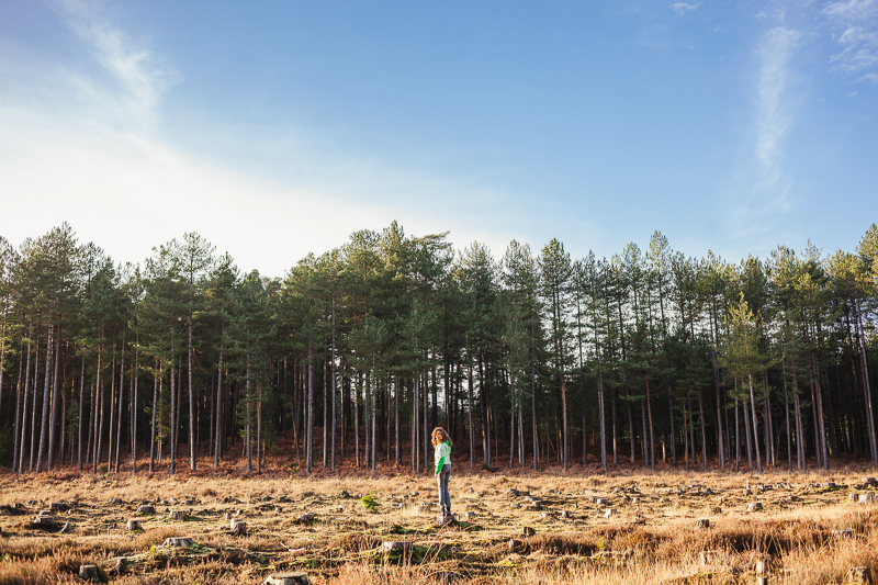 Portraits in The New Forest