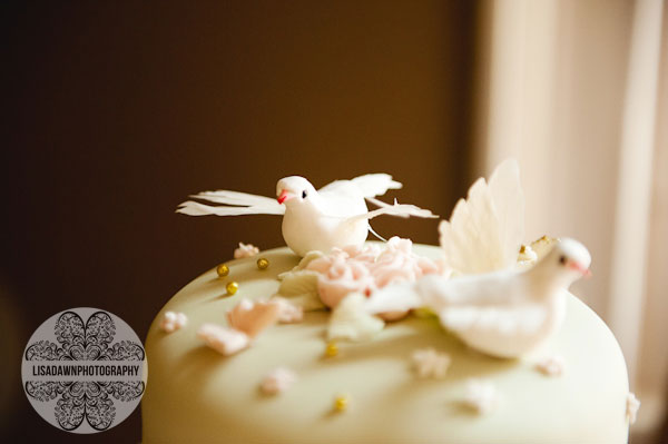 dove love bird cake topper