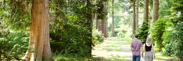 Woodland engagement photography hampshire