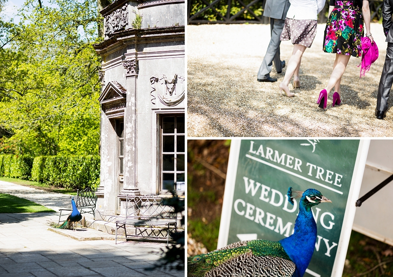 Larmer Tree Gardens Photographers