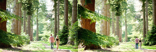 Woodland pre wedding photography, the new forest