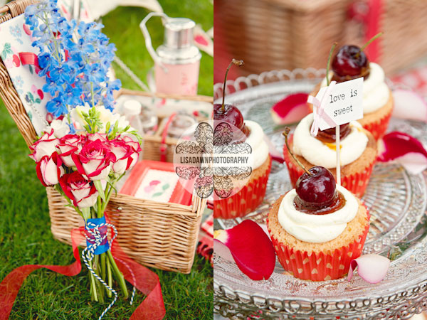 Engagement Picnic Shoot Photography