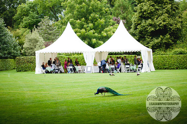 Photograph of marquee in the larmer tree gardens