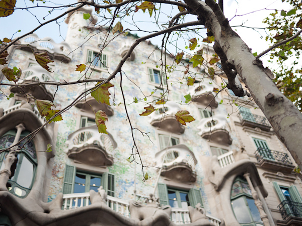 Gaudi architecture