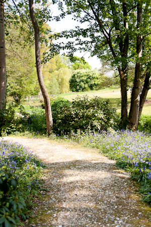 Wedding Photographer Chewton Glen