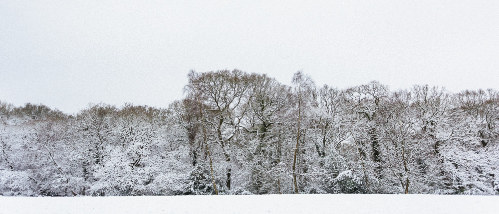 Creative Fine Art Snow Photography