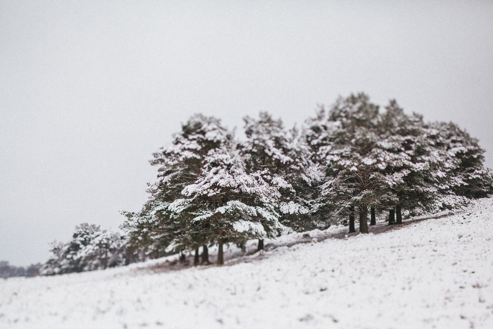 Creative Fine Art Snow Photography