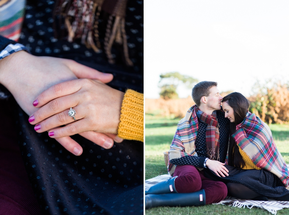 Picnic engagement photography