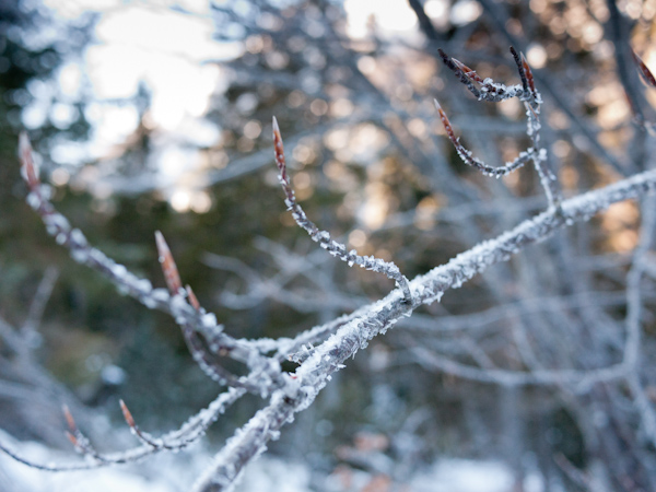 Ice Crystals