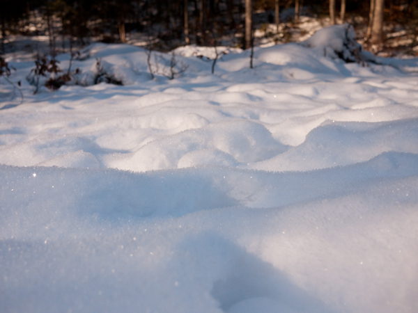 Sparkling snow