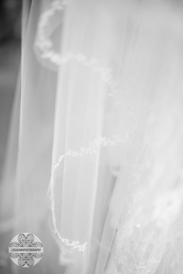 Cathedral wedding veil