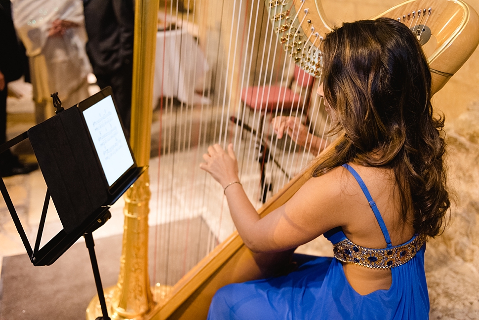 Harpist