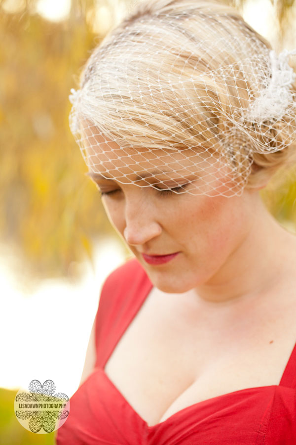 Bird cage veil bridal portrait