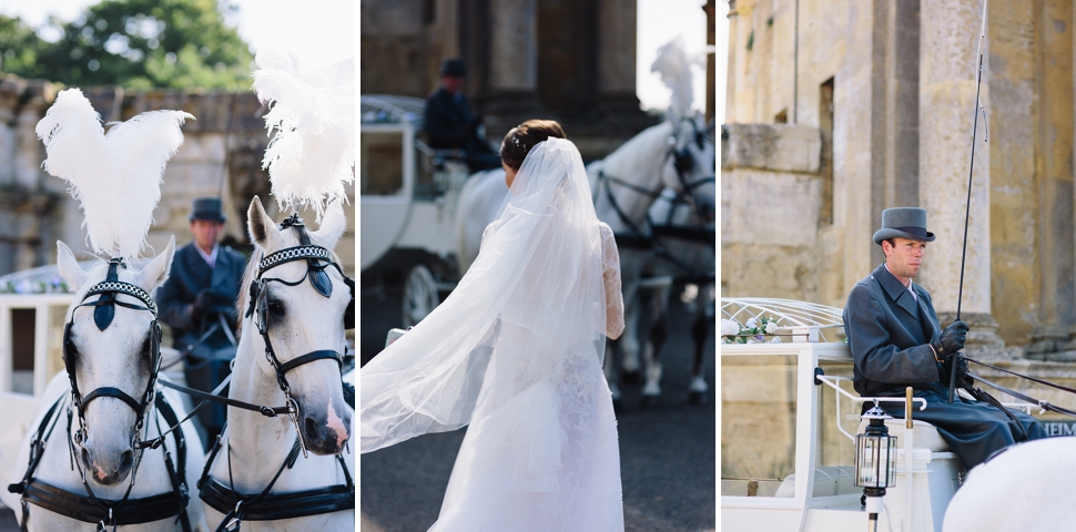 horse and carriage photo