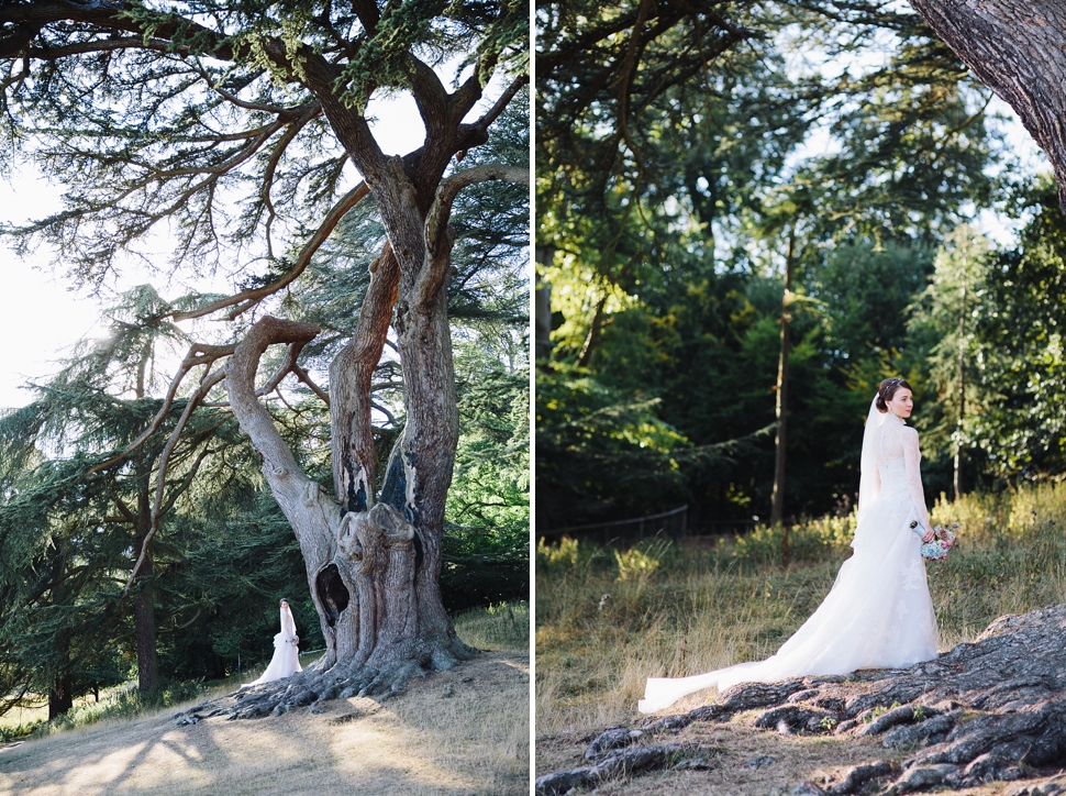 stunning bride portrait