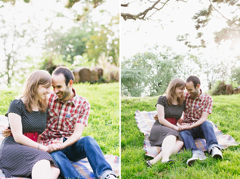 picnic engagement