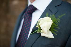 polk a dot tie