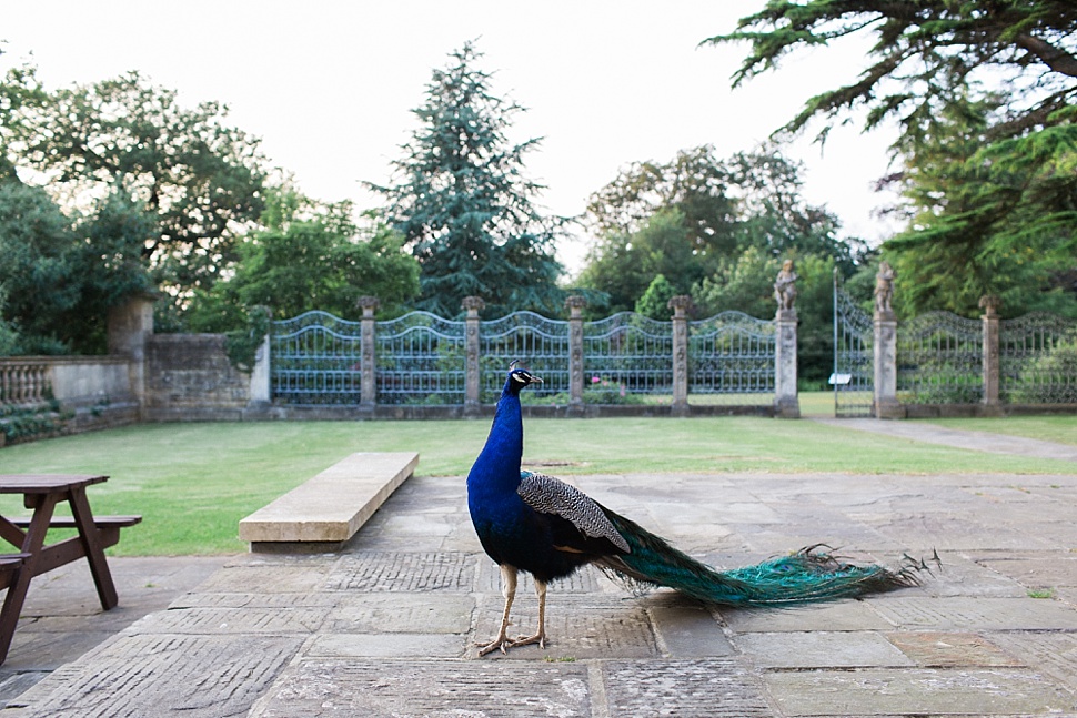 bristol wedding photographer