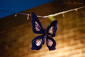 evening butterfly decoration