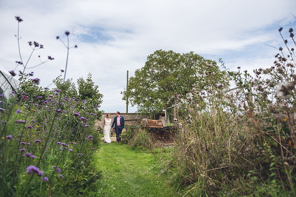 Cowparsley-roughmoor-farm-photo