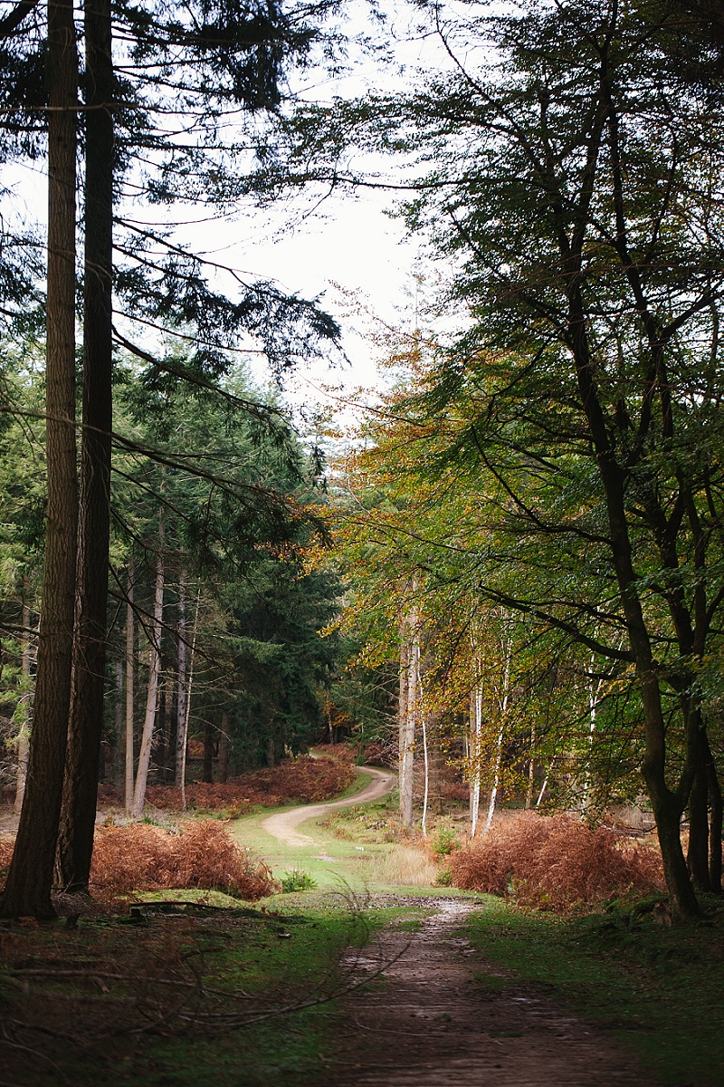 foraging the new forest