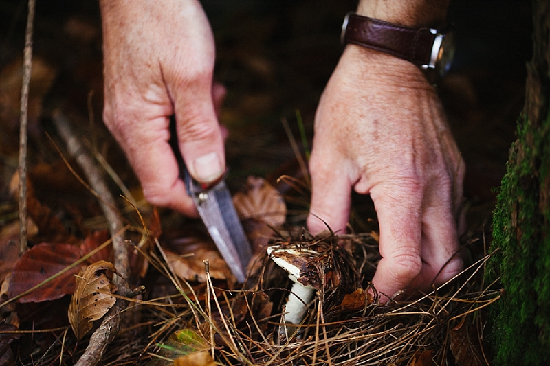 foraging the new forest