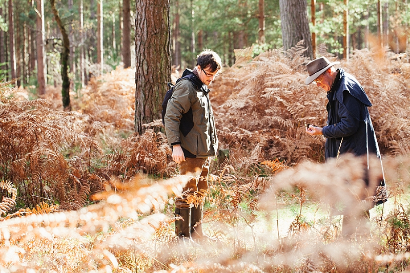 foraging the new forest