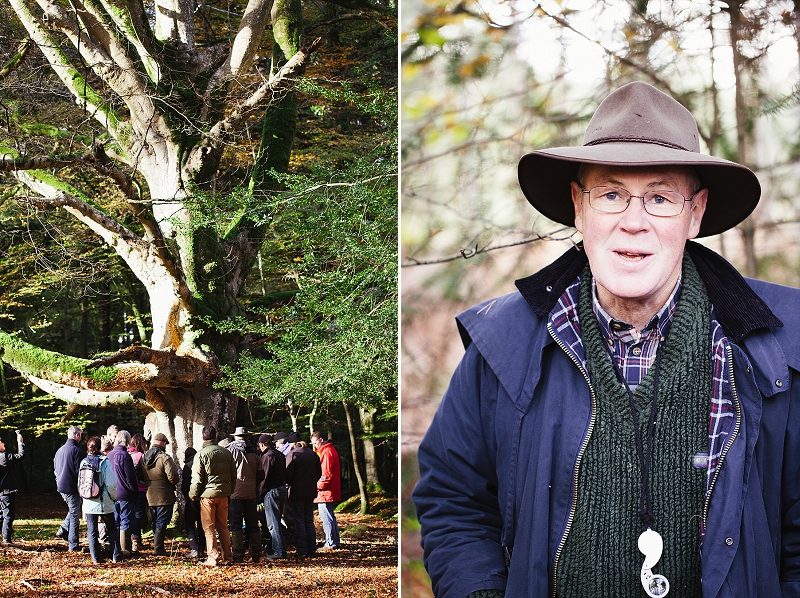 foraging the new forest