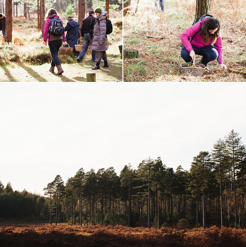 foraging the new forest