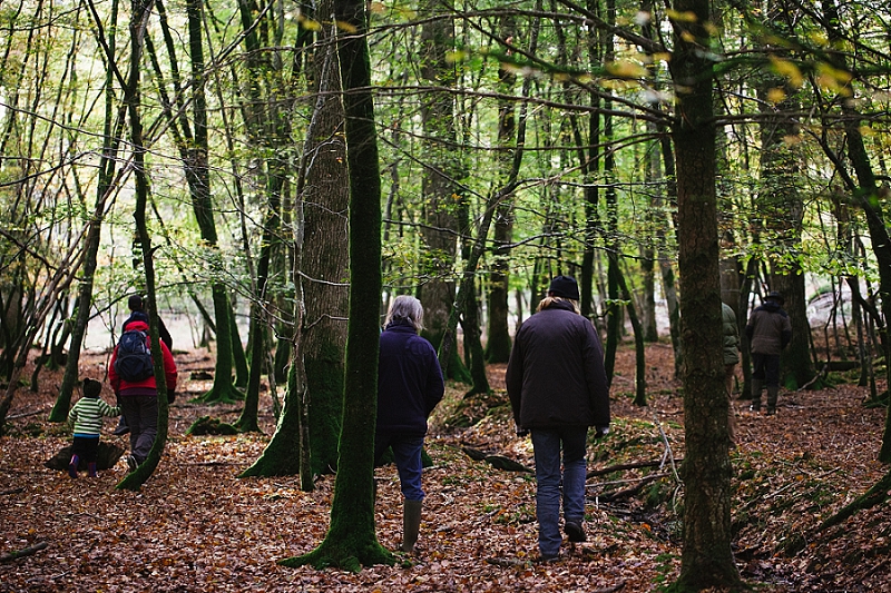 foraging the new forest