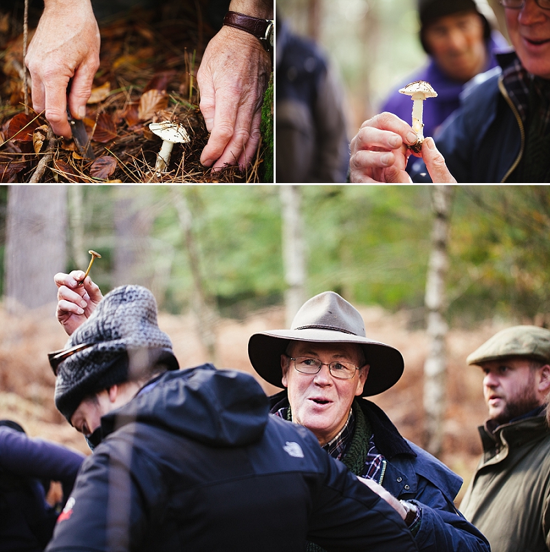 foraging the new forest