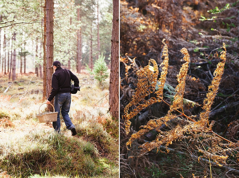 foraging the new forest