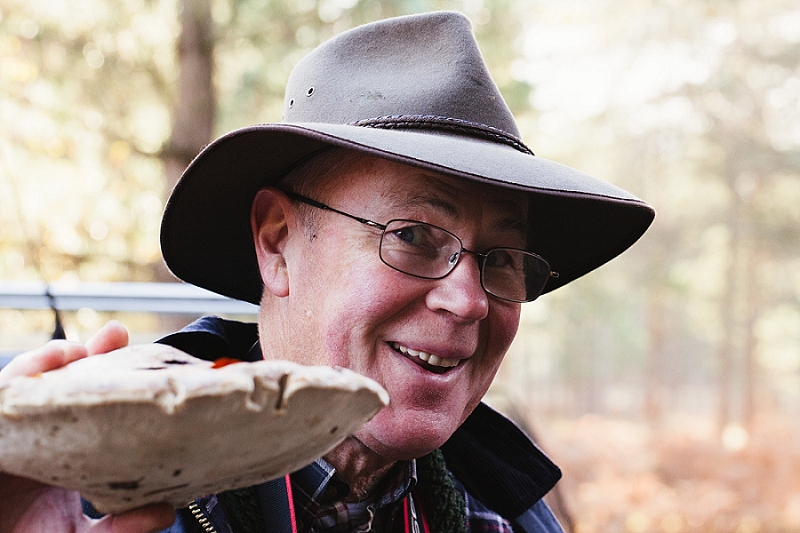 foraging the new forest