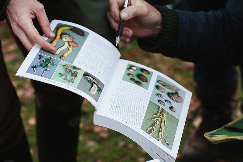 foraging the new forest