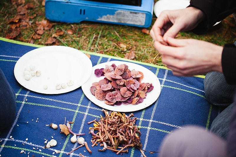 foraging the new forest