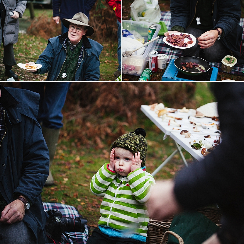 foraging the new forest