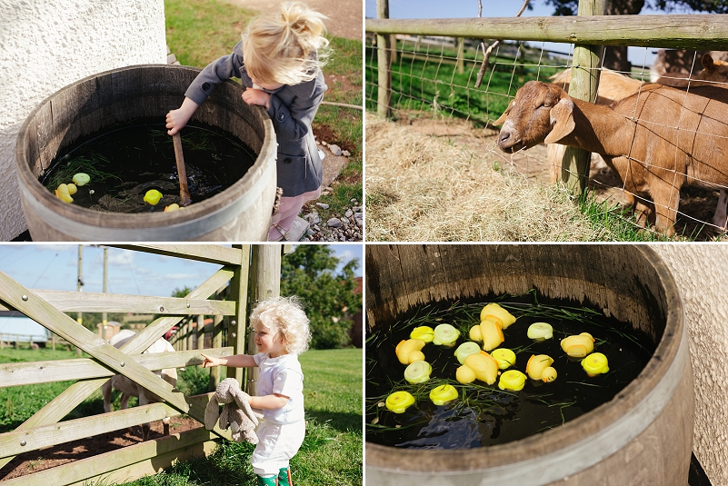 Eco Farm Wedding Photo