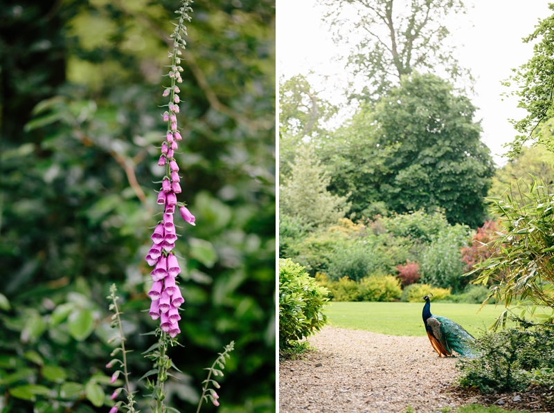 English Country Garden