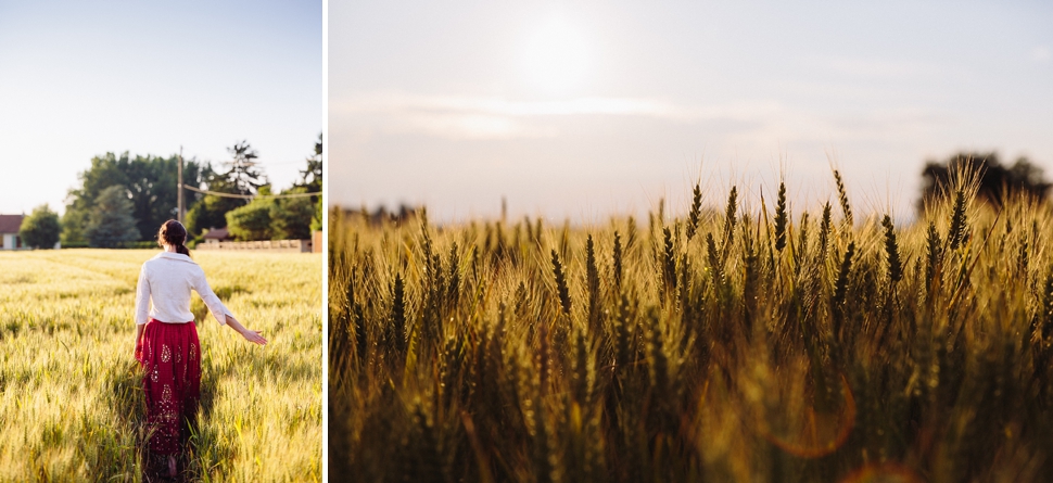 wheat fields sunset