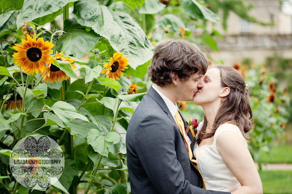 a kiss in the sunflowers