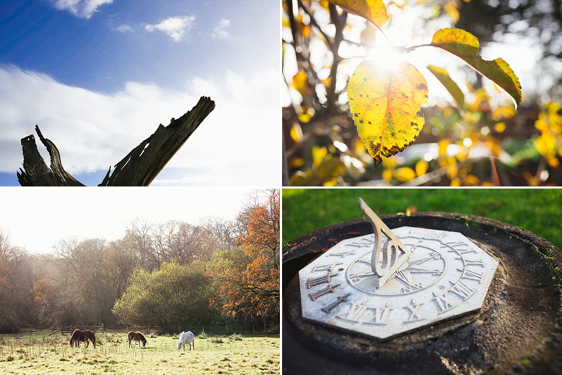 new forest wedding photographers