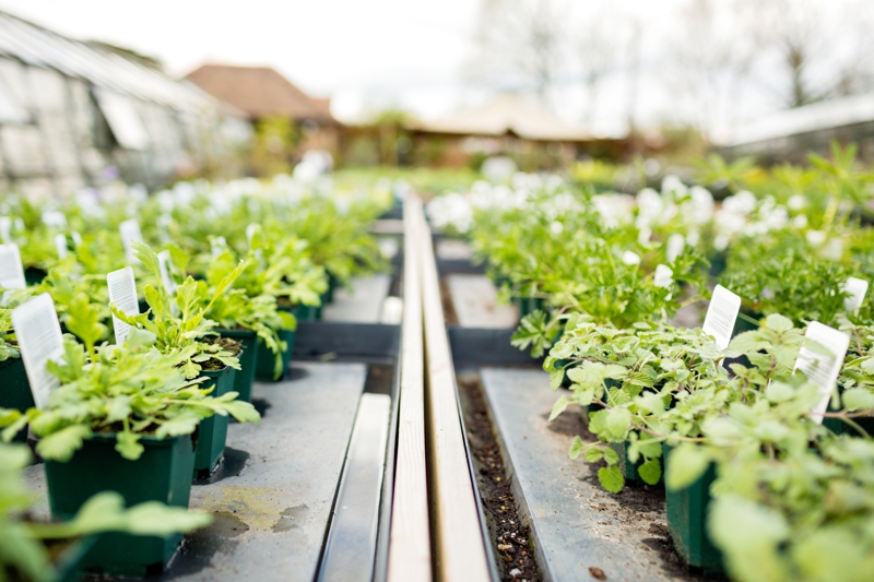 garden photography