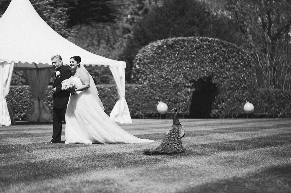 larmer tree gardens wedding