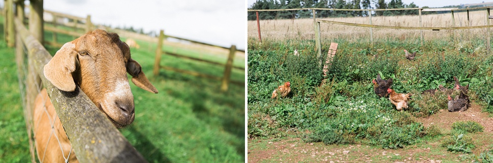 somerset wedding photographer