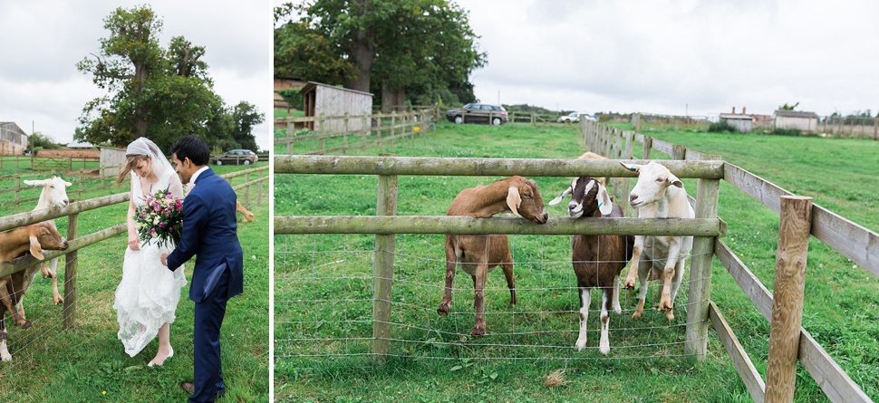 somerset wedding photographer