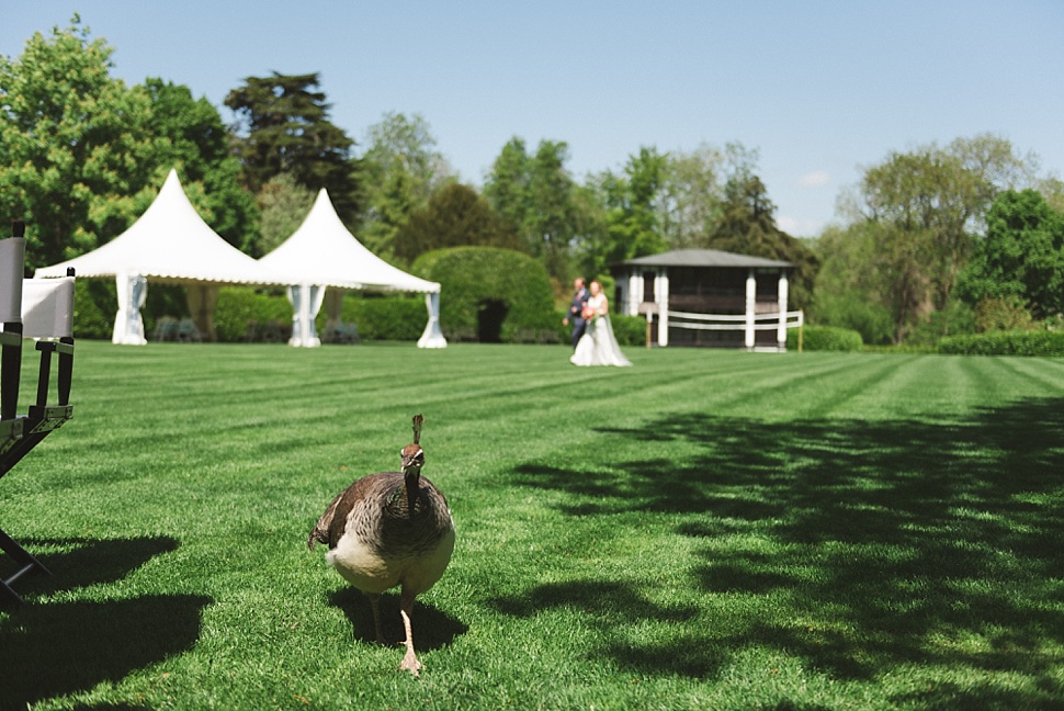 garden wedding 