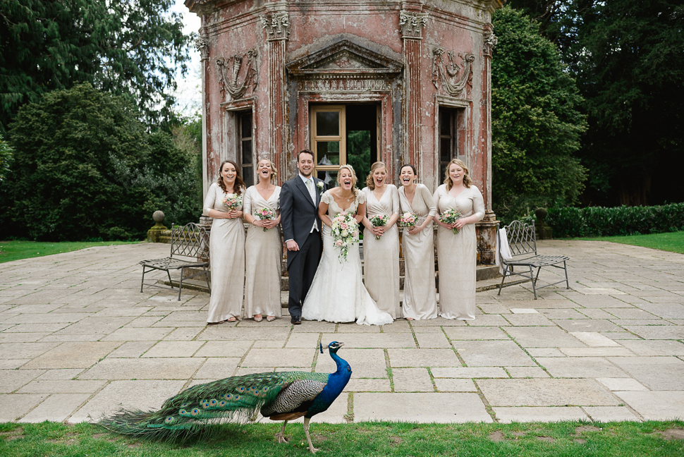 Group Photo, Peacock