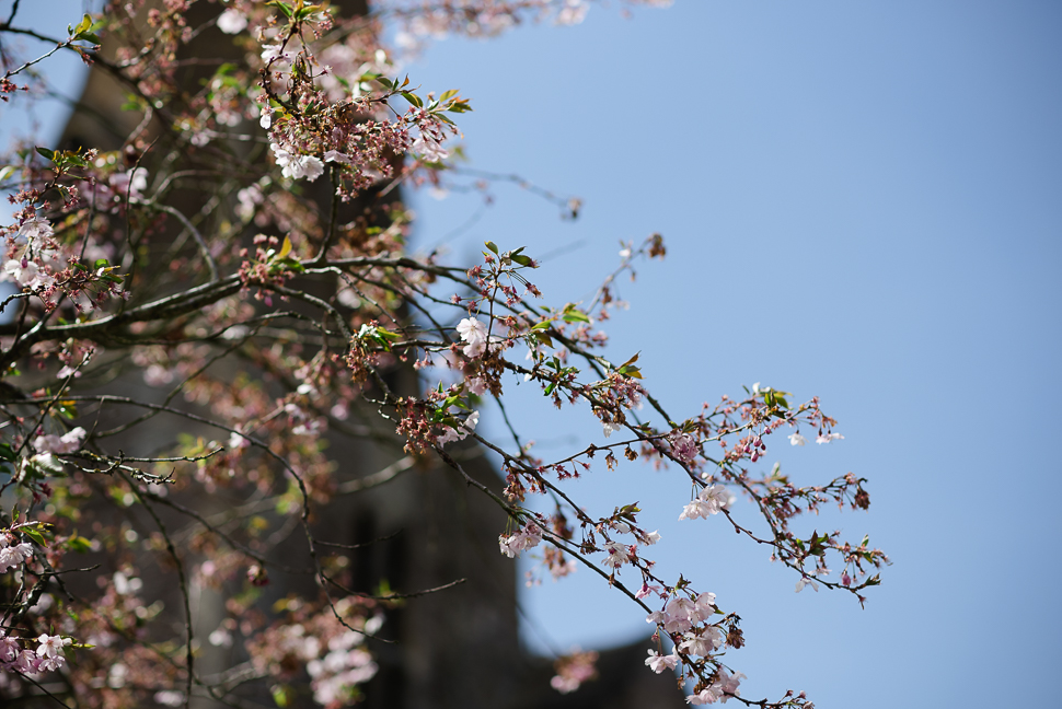 Spring wedding