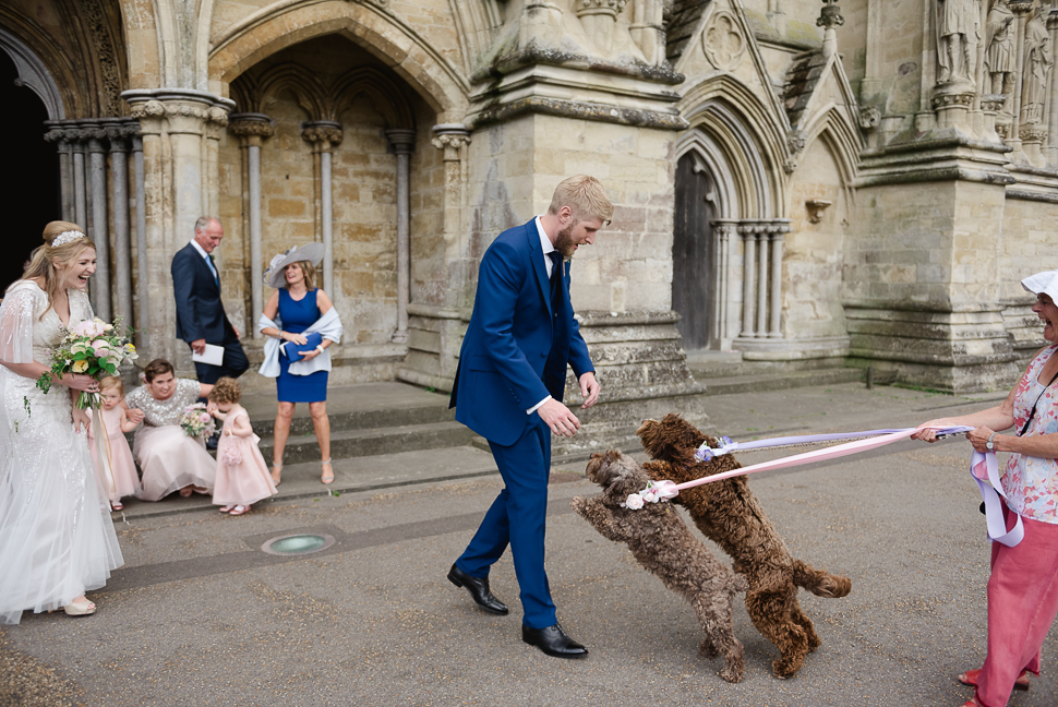 Dogs at weddings