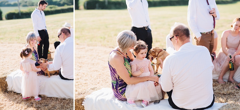 dog at wedding